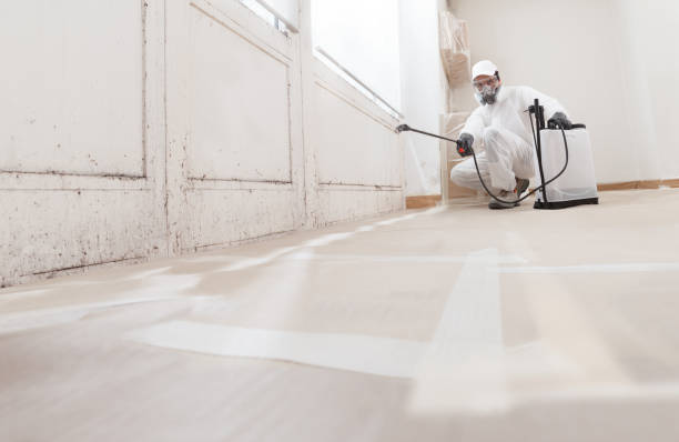 24/7 Emergency Mold Inspection And Testing experts in Halifax, NC